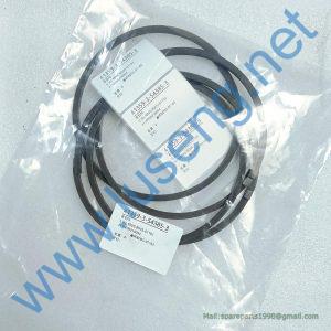 4110000218094  seal RING SDLG