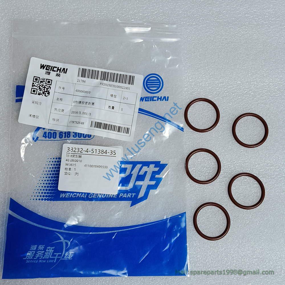 4110000405533 406060010 SEAL WASHER LGMG