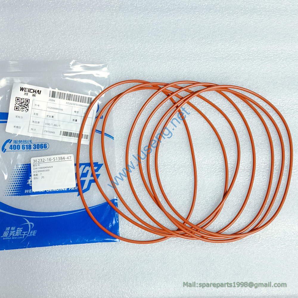 4110000406029 612600083300 SEAL WASHER LGMG