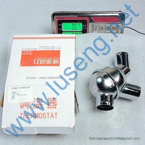 4110000556085 THERMOSTAT SDLG