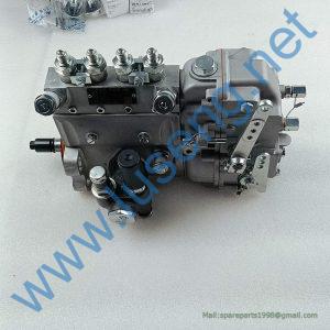 4110000560195 ENGINE INJECTION PUMP SDLG