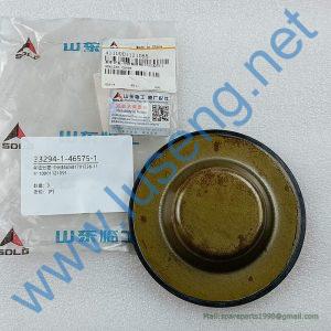 4110001121055 1701238-11 SEALING COVER SDLG