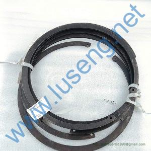 4110001187102 DZ9112342091 SNAP RING LGMG