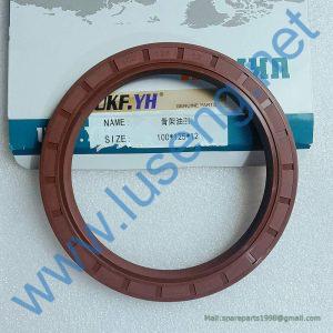 4110001903119 53100038 oil seal SDLG