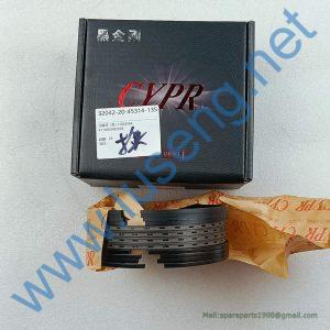 4110003492066 SEGMENT RING SDLG