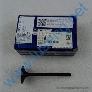4110003492212 INTAKE VALVE SDLG