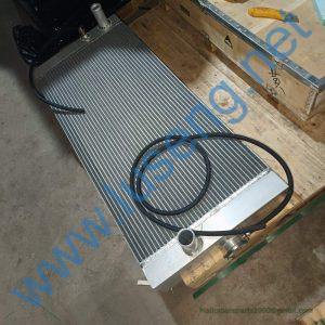 4110003565002 RADIATOR SDLG