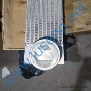 4110003565003 RADIATOR SDLG