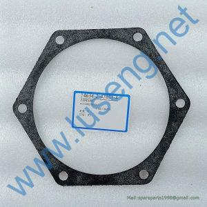4110003763001 WATER PUMP GASKET