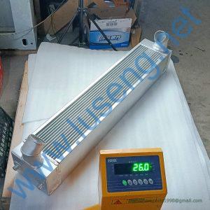 4110003909004 radiator S9114139E