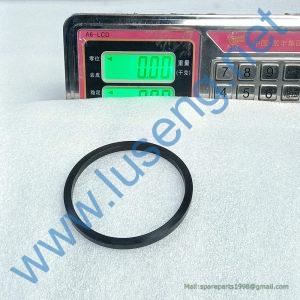 4120001739082 SEAL RING SDLG