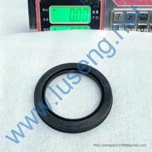 4120001739696 DUST RING SDLG