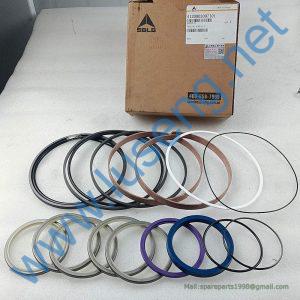 4120003097101 SEAL KITS SDLG