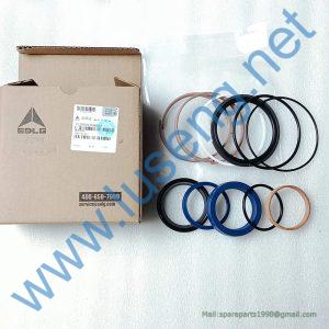 4120004768002 SEALING KIT SDLG