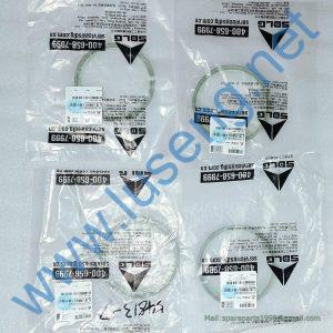 4120006998003 Sealing ring SDLG