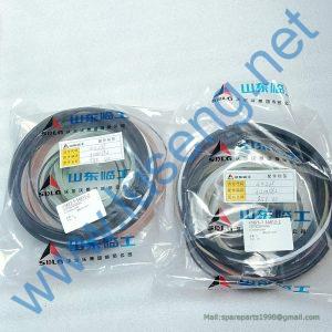 4120008912008 Sealing kit SDLG