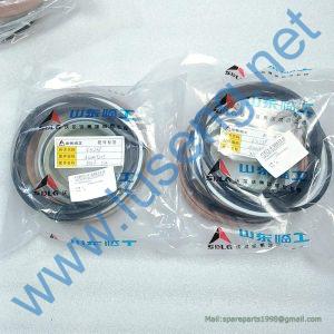 4120009205002 Sealing kit SDLG
