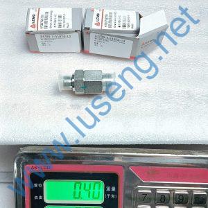 4120702759 M18-M22 CHECK VALVE LGMG