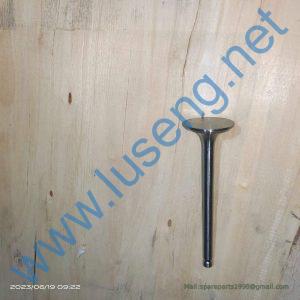 490B-03015 EXHAUST VALVE