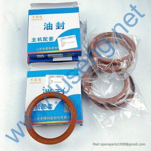 53100038 4110001903119 oil seal