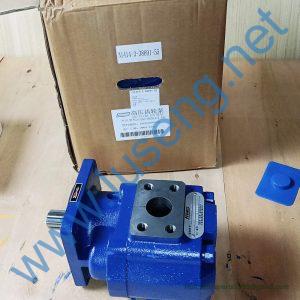 60301000038 P5100-F80NL457 97G 6 TEETHs  GEAR PUMP LONKING