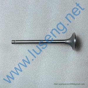6105QA-1007012 EXHAUST VALVE YC6105ZQC