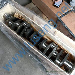 612600020713 CRANKSHAFT 4110001048011