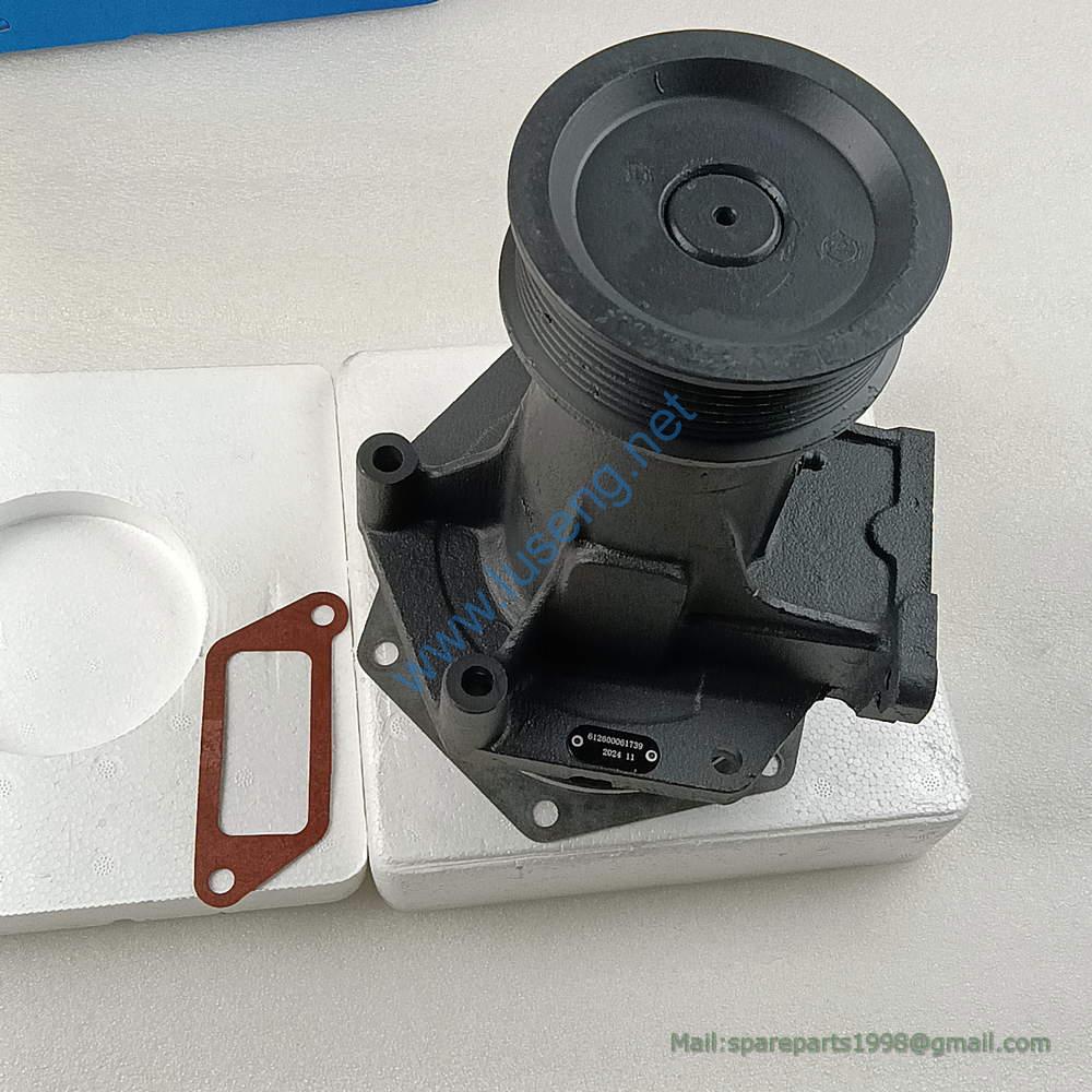 612600061739 860121366 water pump