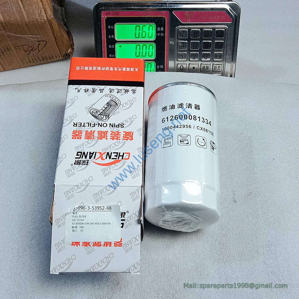 612600081334 FILTER SDLG