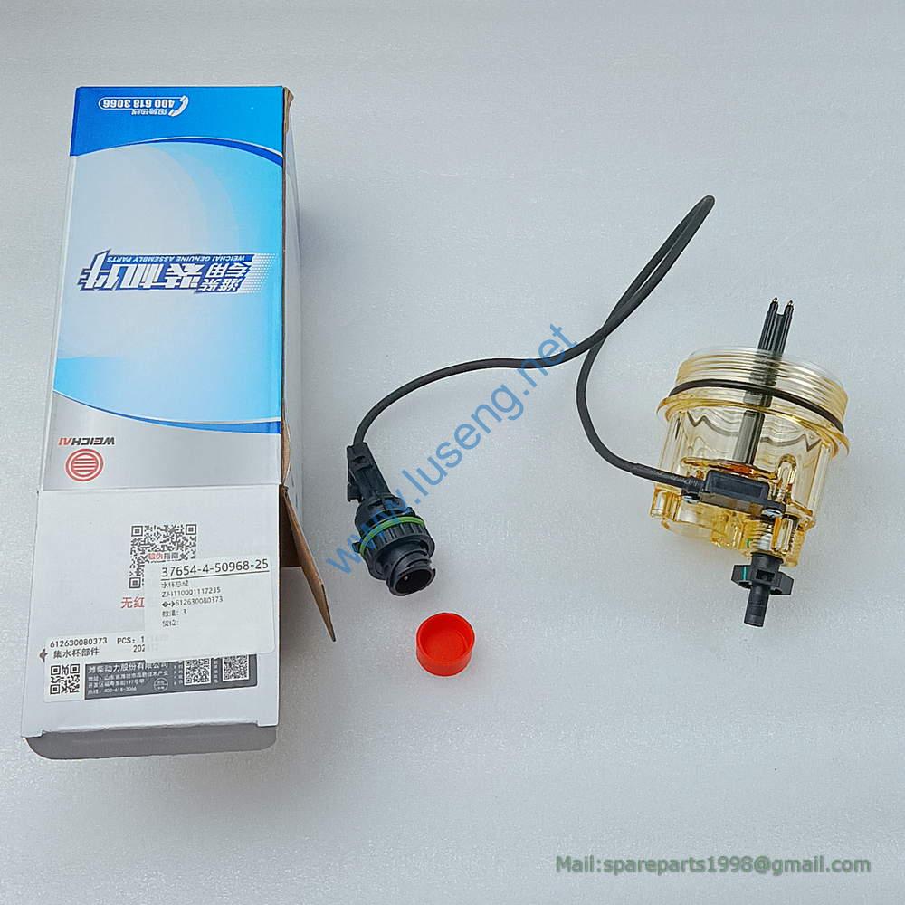 612630080373 4110001117235 Water cup assembly LGMG