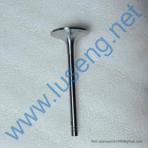 6N9915 INTAKE VALVE C6121ZG091
