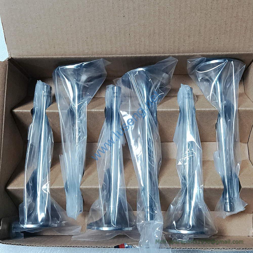6N9916 EXHAUST VALVE C6121ZG091