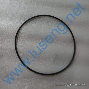 800107341 SEALING RING 260x5.7 XCMG