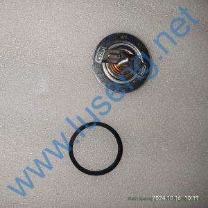800158767 XE60DA thermostat