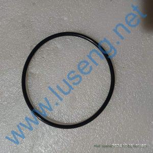 801100036 O-Ring XCMG