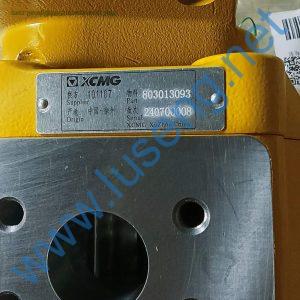 803013093 JHP2100GJ0010C-XFXL01 14 TEETHs GEAR PUMP XCMG