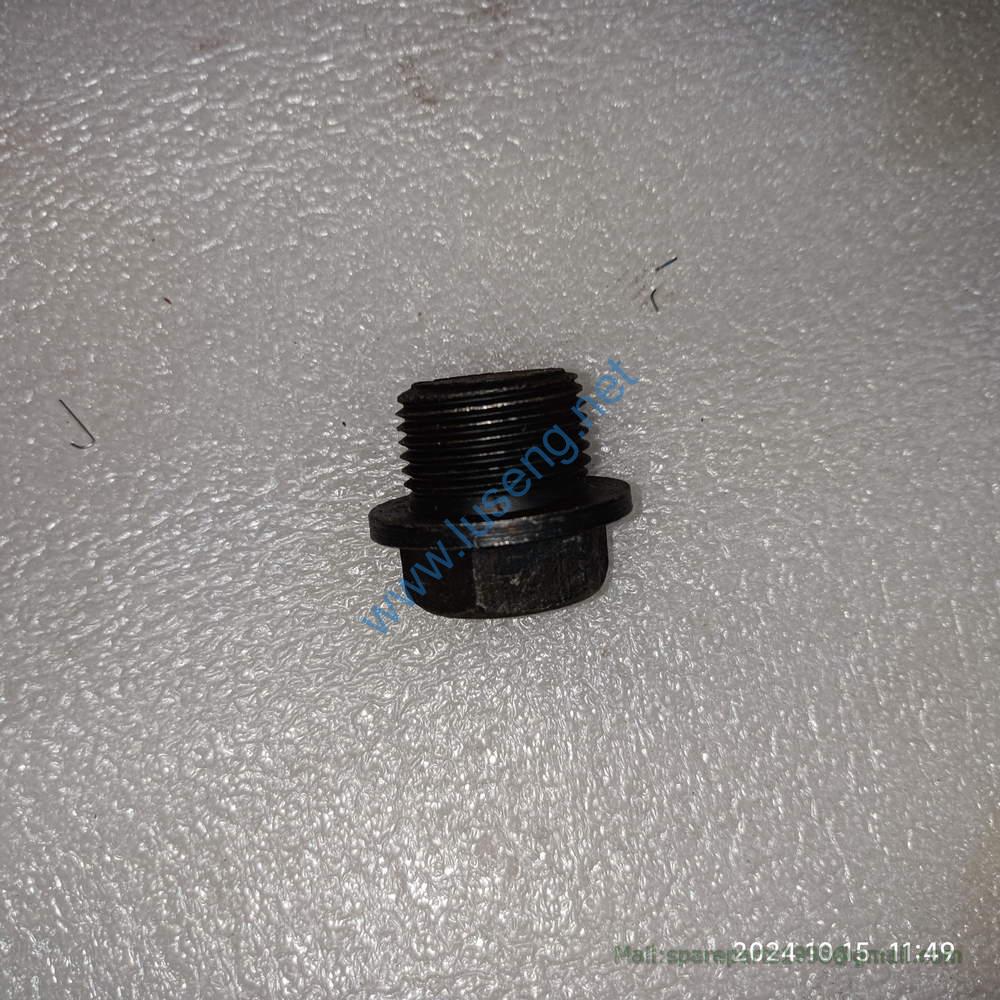 803163976 PLUG XCMG - Image 2