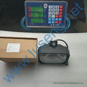 803502460 LAMP XCMG