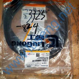 80A0776 Y-SEAL LIUGONG
