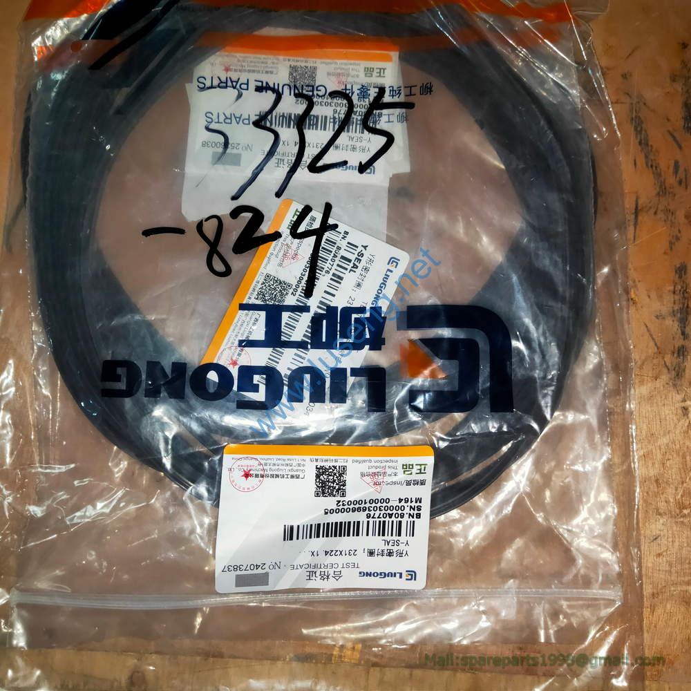 80A0776 Y-SEAL LIUGONG