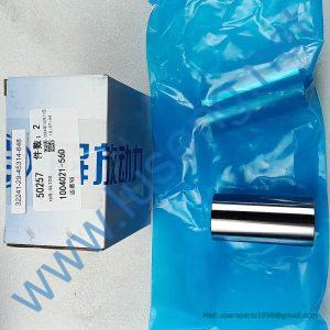 860129971 PISTON PIN XCMG