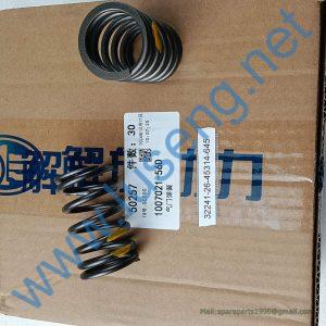 860153441 cylinder head spring XCMG