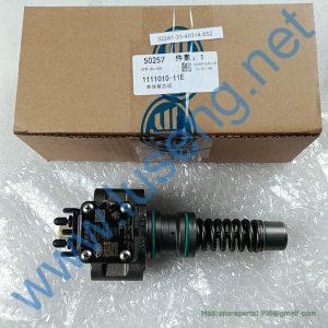 860162260 INJECTION UNIT XCMG