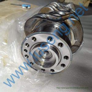 860164082 CRANKSHAFT XCMG
