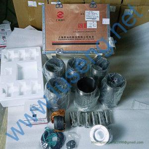C02AL-1105800+A,C05AL-05AL502+A,CO5AL-7N9805+A,C05AB-610499+A C6121ZG091 piston kits