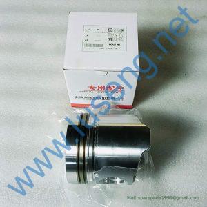 C05AL-05AL502+A PISTON C6121ZG091