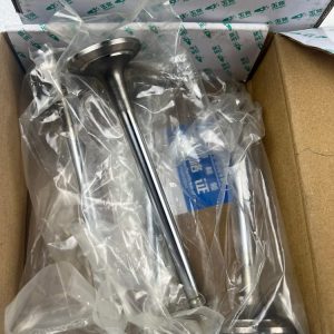 G5900-1003103 VALVE EX YUCHAI