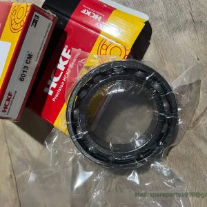 GB276-89-6113 113 bearing XCMG