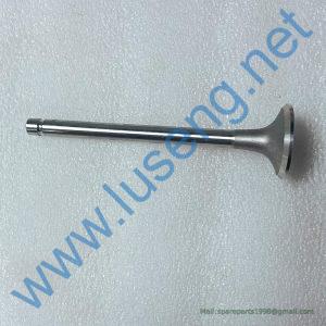 J3000-1003103 EXHAUST VALVE YC6105ZQC