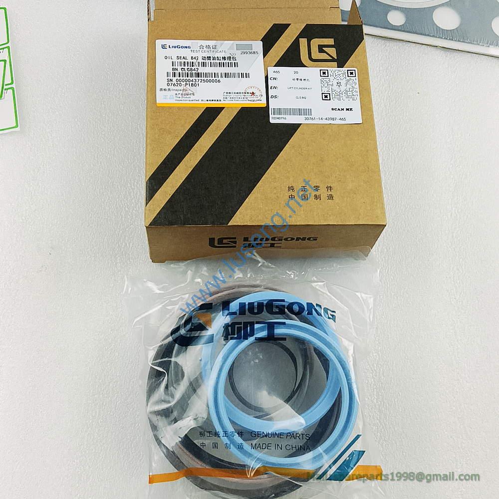 LIFT CYLINDER KIT CLG842